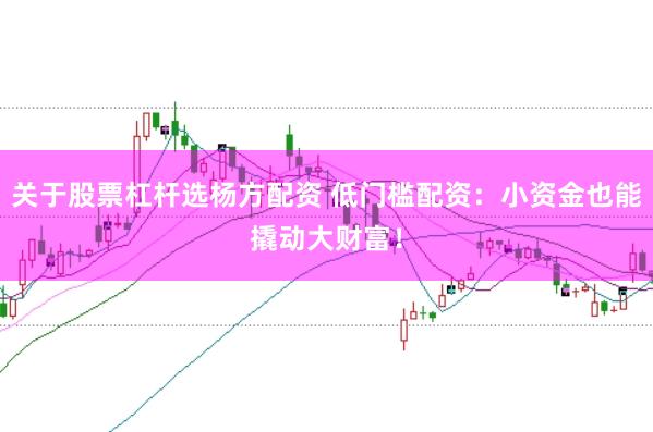 关于股票杠杆选杨方配资 低门槛配资：小资金也能撬动大财富！