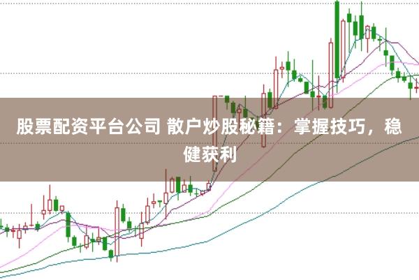 股票配资平台公司 散户炒股秘籍：掌握技巧，稳健获利