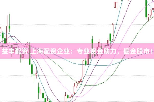 益丰配资 上海配资企业：专业资金助力，掘金股市！