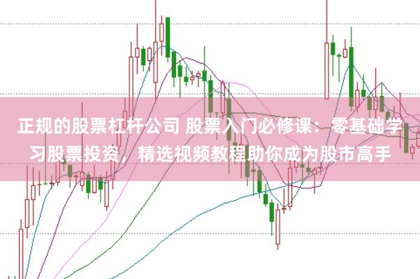正规的股票杠杆公司 股票入门必修课：零基础学习股票投资，精选视频教程助你成为股市高手