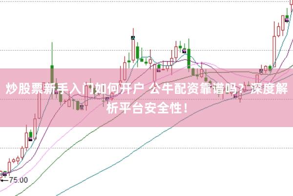 炒股票新手入门如何开户 公牛配资靠谱吗？深度解析平台安全性！