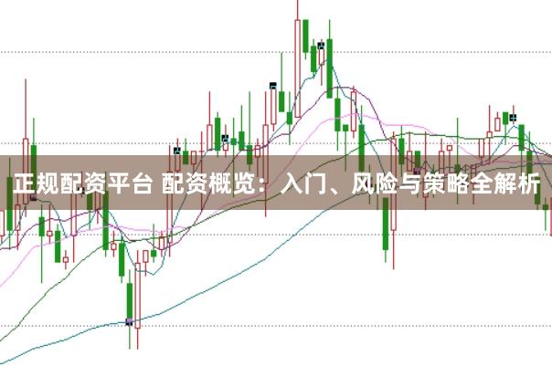 正规配资平台 配资概览：入门、风险与策略全解析