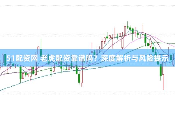 51配资网 老虎配资靠谱吗？深度解析与风险提示