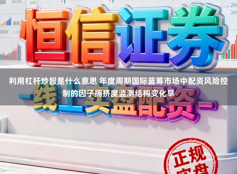 利用杠杆炒股是什么意思 年度周期国际蓝筹市场中配资风险控制的因子拥挤度监测结构变化早