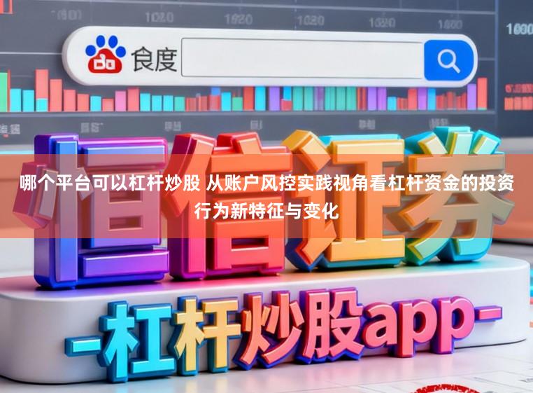 哪个平台可以杠杆炒股 从账户风控实践视角看杠杆资金的投资行为新特征与变化